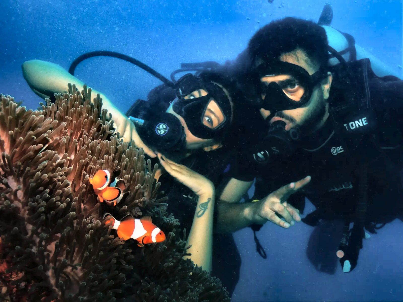 Clownfish home and some happy divers